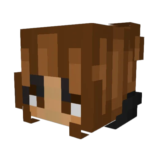 ai3ah Minecraft avatar head, 3D render