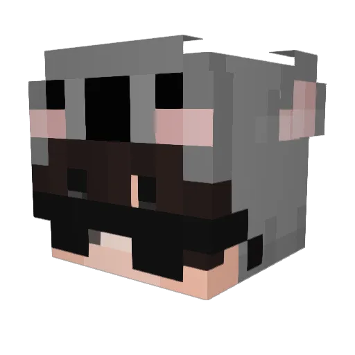 aibeu Minecraft avatar head, 3D render