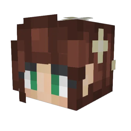 aicha888 Minecraft avatar head, 3D render