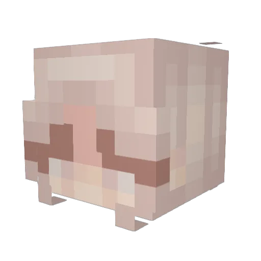 aidamlb Minecraft avatar head, 3D render