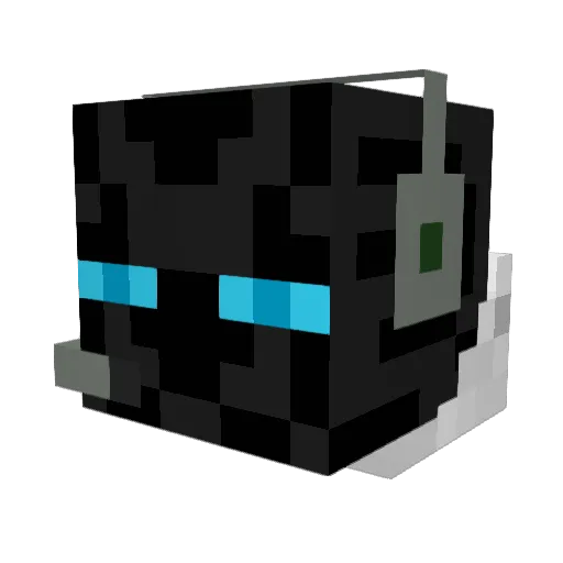 aidan070714 Minecraft avatar head, 3D render