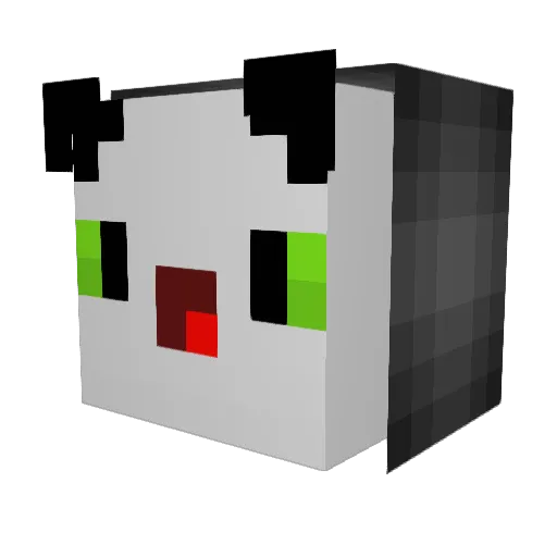 aidan_09 Minecraft avatar head, 3D render
