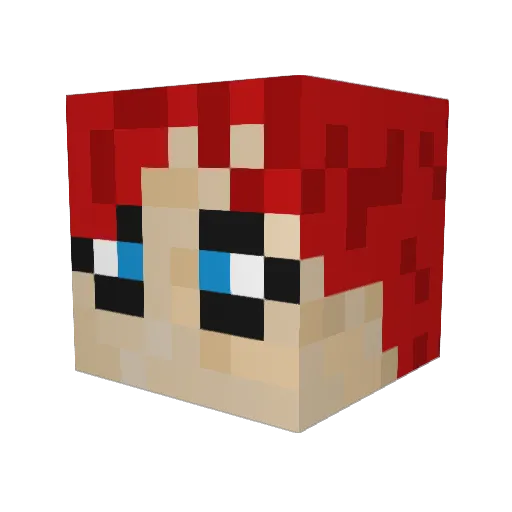 aidan_tm Minecraft avatar head, 3D render