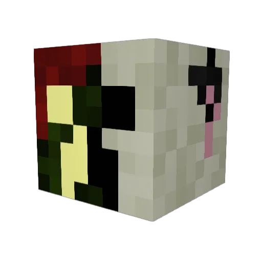aidanandalexis Minecraft avatar head, 3D render