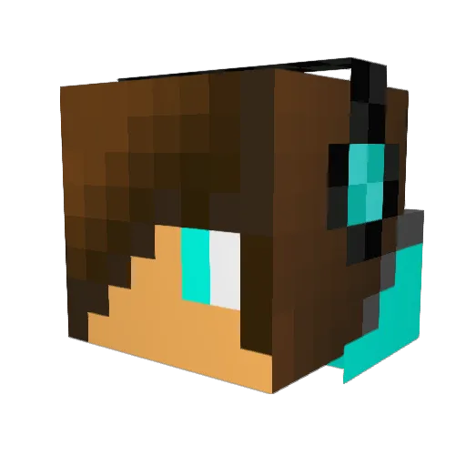 aidancraft19 Minecraft avatar head, 3D render
