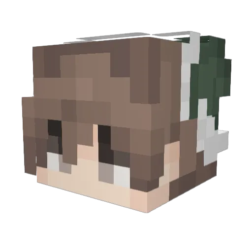 aidandanan Minecraft avatar head, 3D render