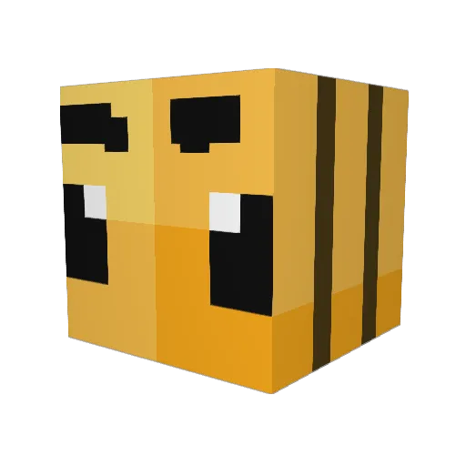 aidanh2 Minecraft avatar head, 3D render