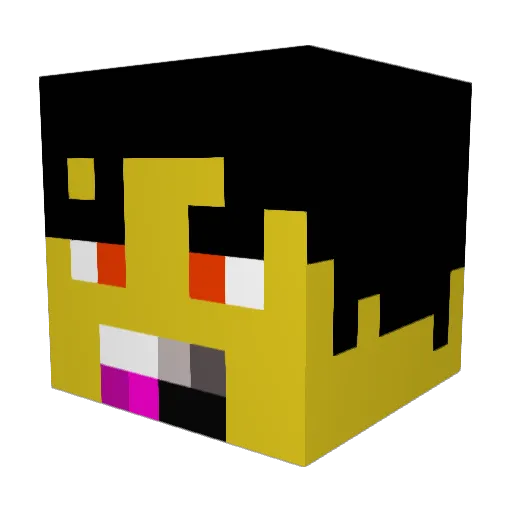 aidanille Minecraft avatar head, 3D render