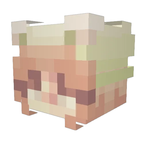 aidanisfit Minecraft avatar head, 3D render