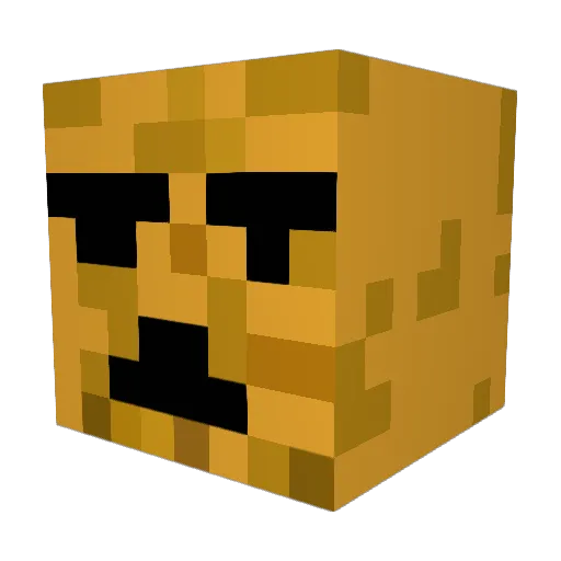 aidanishere Minecraft avatar head, 3D render