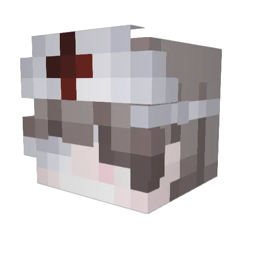 aidanjere Minecraft avatar head, 3D render