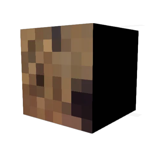 aidanmorriso Minecraft avatar head, 3D render