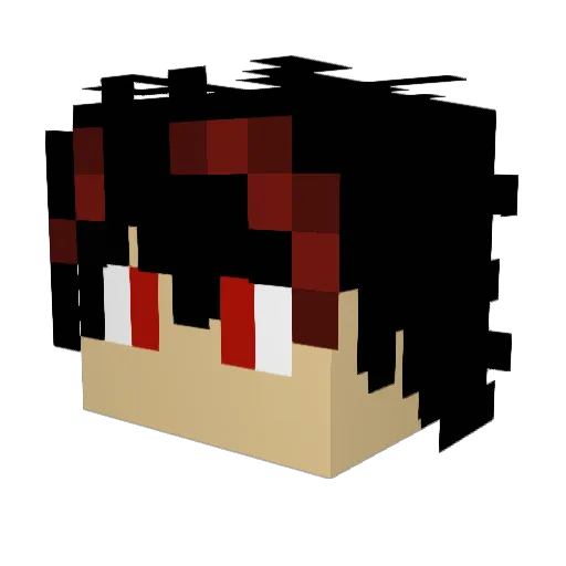 aidanmvc Minecraft avatar head, 3D render