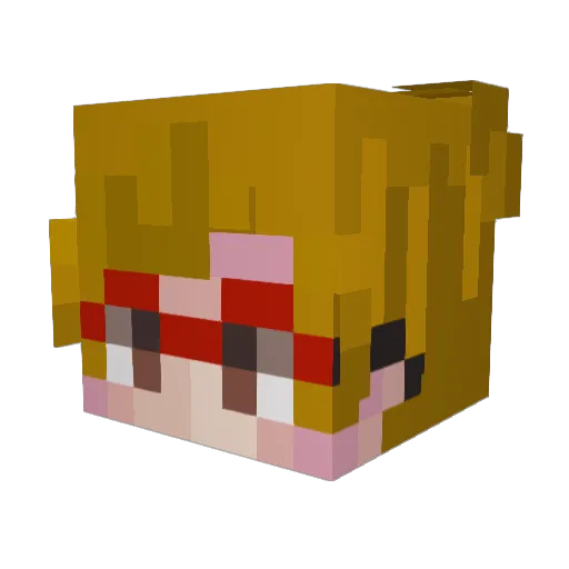 aidans1325 Minecraft avatar head, 3D render
