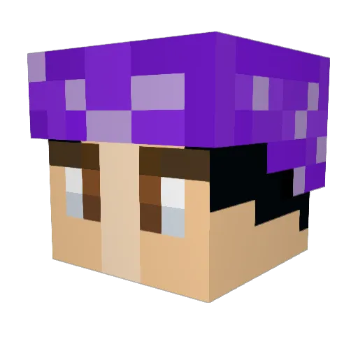 aidansikora Minecraft avatar head, 3D render