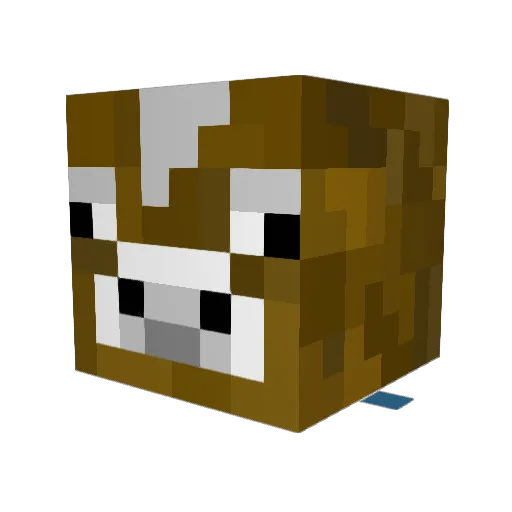aidanthrasher Minecraft avatar head, 3D render