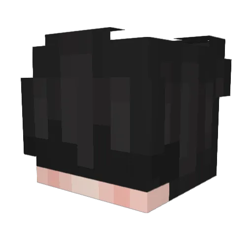 aidantran_ Minecraft avatar head, 3D render