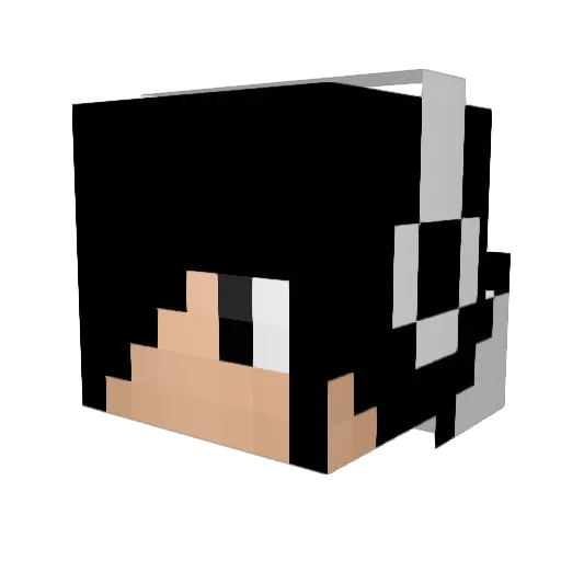 aidanv21 Minecraft avatar head, 3D render