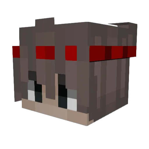 aidasal Minecraft avatar head, 3D render