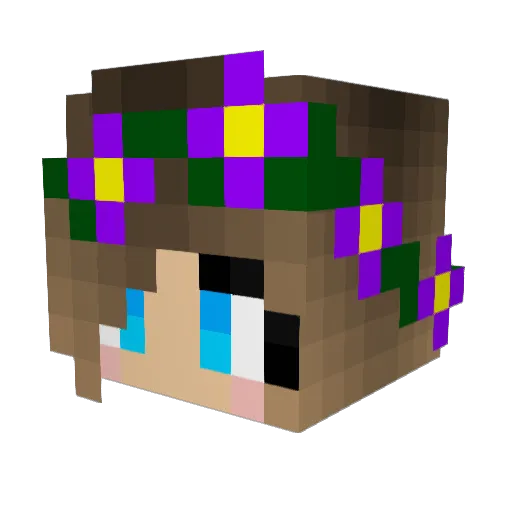 aideen_xD Minecraft avatar head, 3D render