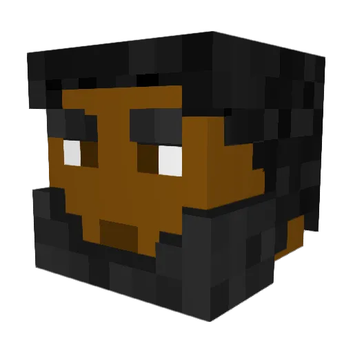 aiden11 Minecraft avatar head, 3D render