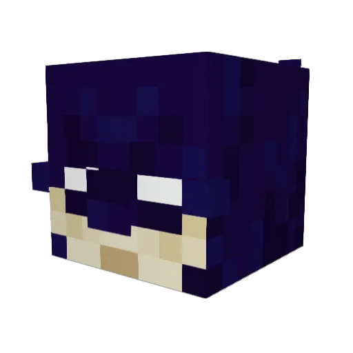 aiden30061 Minecraft avatar head, 3D render