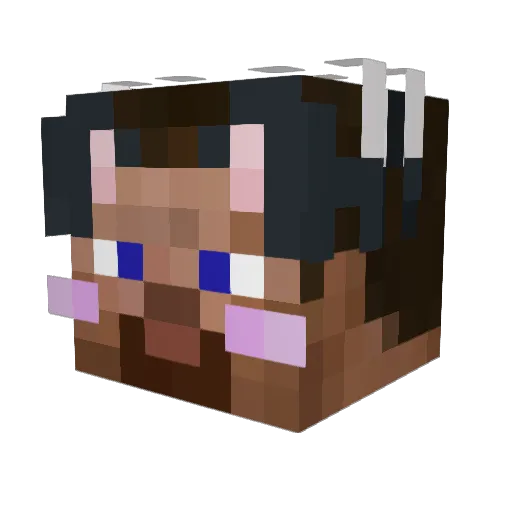 aideneyaiden Minecraft avatar head, 3D render
