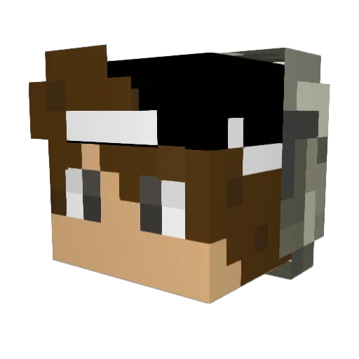 aidenhoman Minecraft avatar head, 3D render