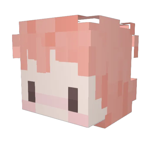 aidenisagirlname Minecraft avatar head, 3D render