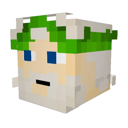 aidenjtb Minecraft avatar head, 3D render