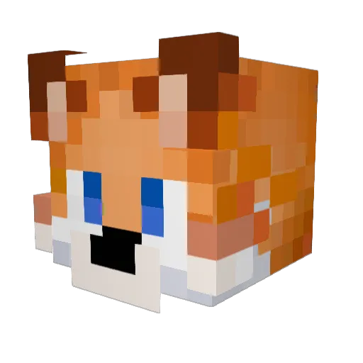 aidenn203 Minecraft avatar head, 3D render