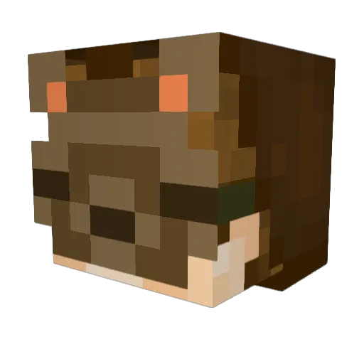 aidennaise Minecraft avatar head, 3D render