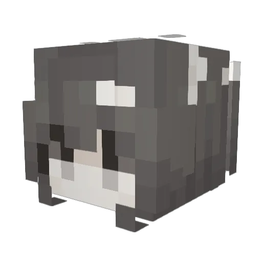 aidenshatepage Minecraft avatar head, 3D render