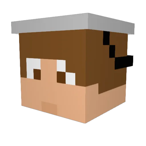 aidensx Minecraft avatar head, 3D render
