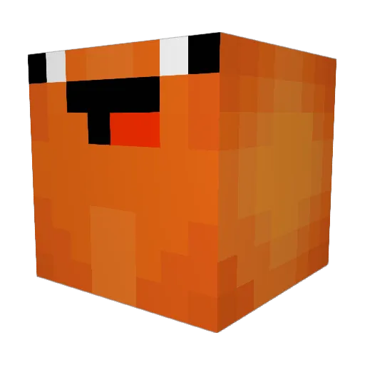 aidentheswag Minecraft avatar head, 3D render