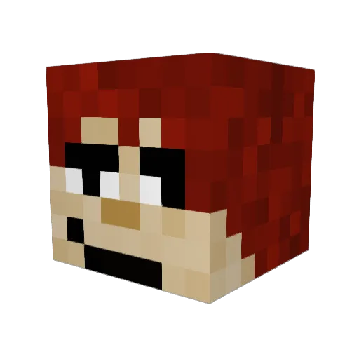 aidonny_ Minecraft avatar head, 3D render