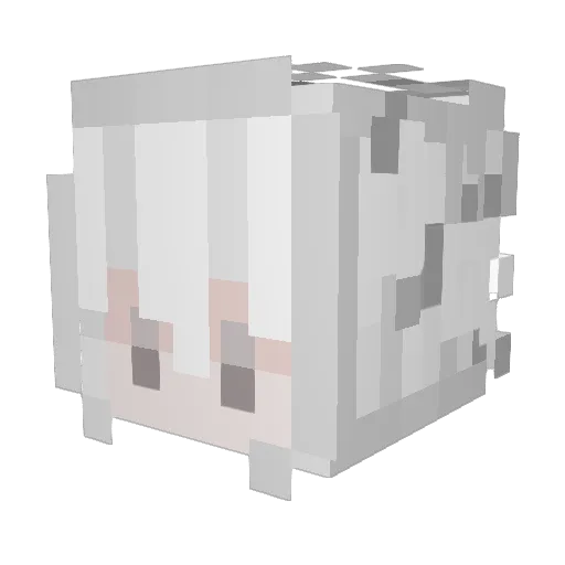 aidora1315 Minecraft avatar head, 3D render