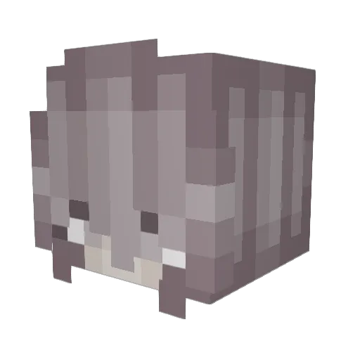 aidroid Minecraft avatar head, 3D render