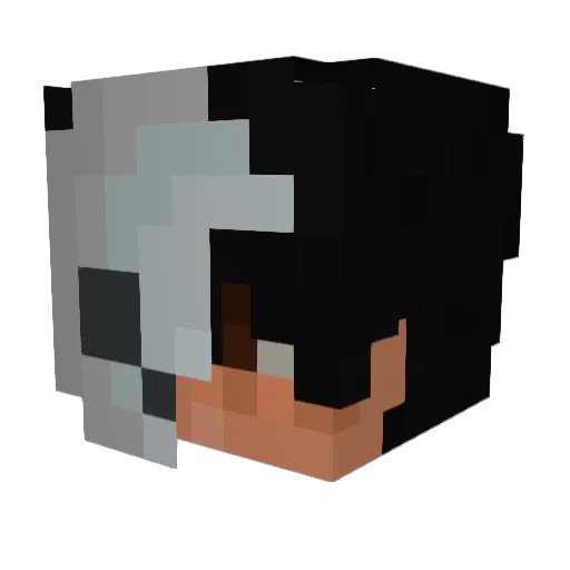 aienss Minecraft avatar head, 3D render