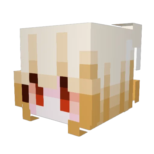 aigelisi Minecraft avatar head, 3D render
