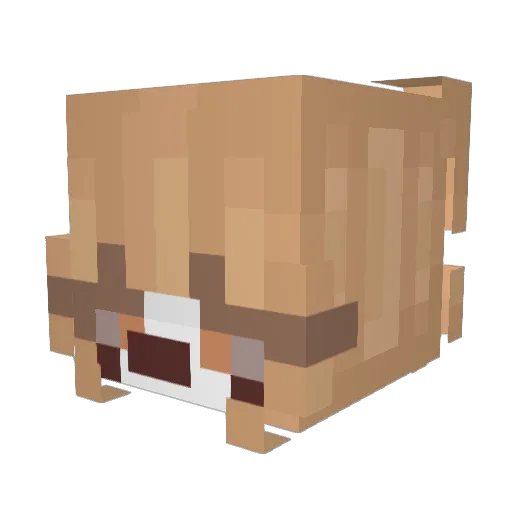 aiko3349 Minecraft avatar head, 3D render