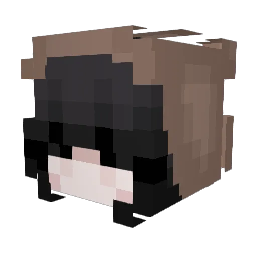 aikoirl Minecraft avatar head, 3D render