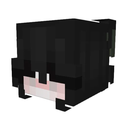 aikonf Minecraft avatar head, 3D render