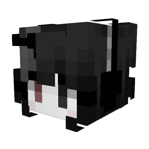 aikoxa Minecraft avatar head, 3D render