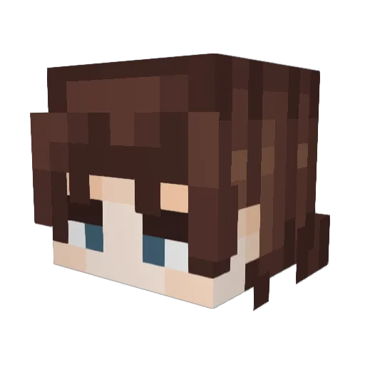 ailepet Minecraft avatar head, 3D render