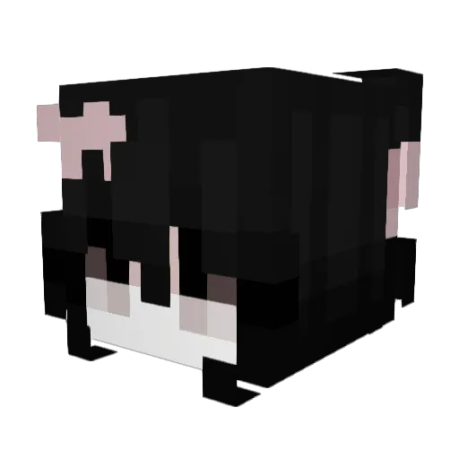 ailuv Minecraft avatar head, 3D render