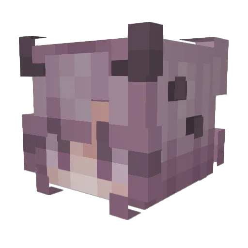 ailz6 Minecraft avatar head, 3D render