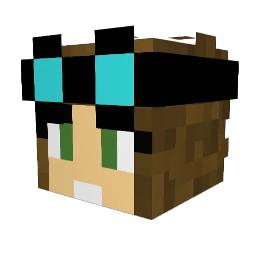 aim200 Minecraft avatar head, 3D render