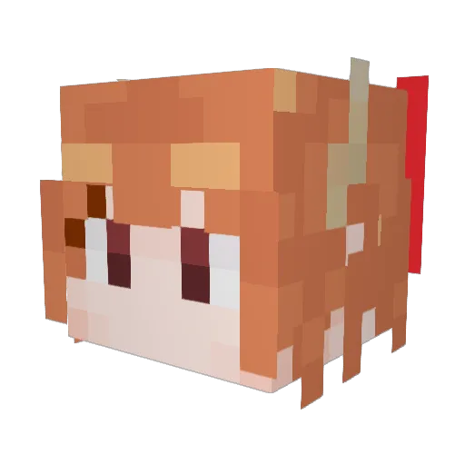 aimable_rs Minecraft avatar head, 3D render