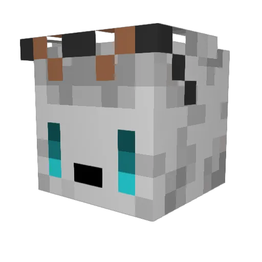 aimaymbot Minecraft avatar head, 3D render